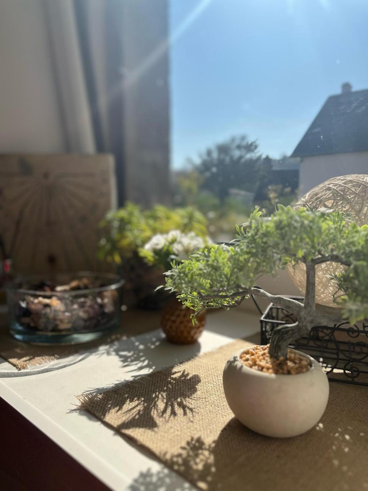 Le Gite De La Menuiserie Maisoncelles-la-Jourdan Exteriör bild
